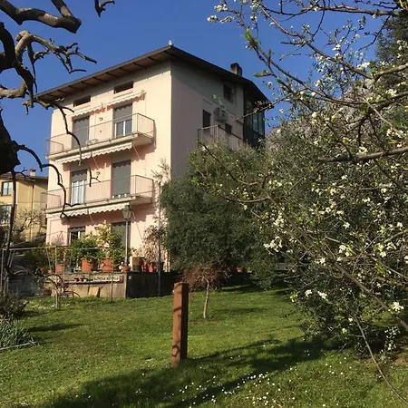 아파트 La Casa Degli Ulivi