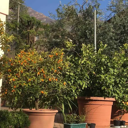 La Casa Degli Ulivi Lierna