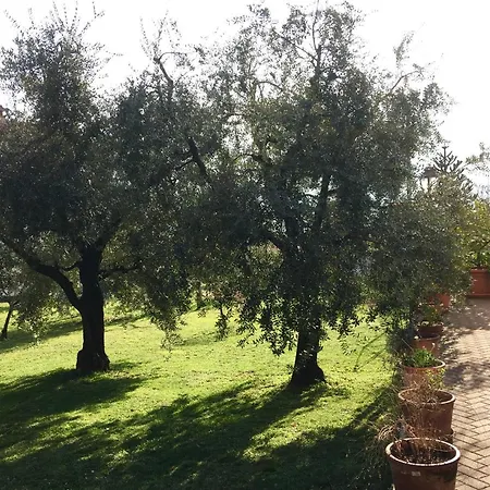 Апартаменты La Casa Degli Ulivi Льерна