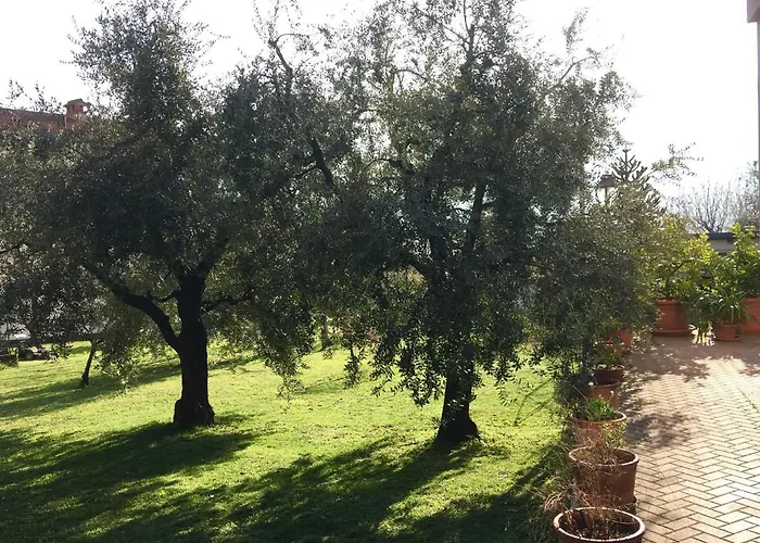 Apartment La Casa Degli Ulivi Lierna