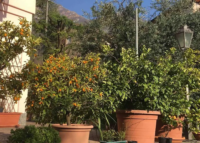 La Casa Degli Ulivi Lierna