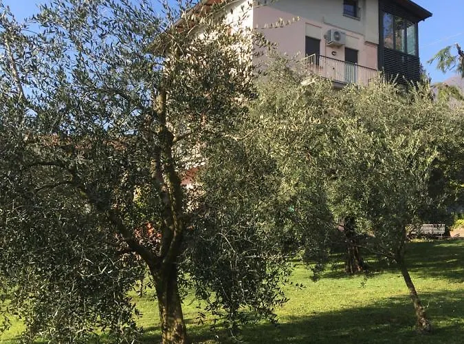 La Casa Degli Ulivi Apartament